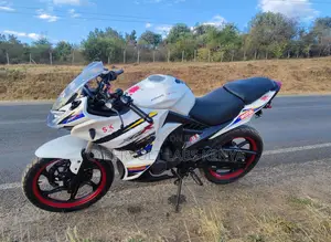 Lifan 2021 White