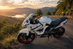 Lifan 2021 White