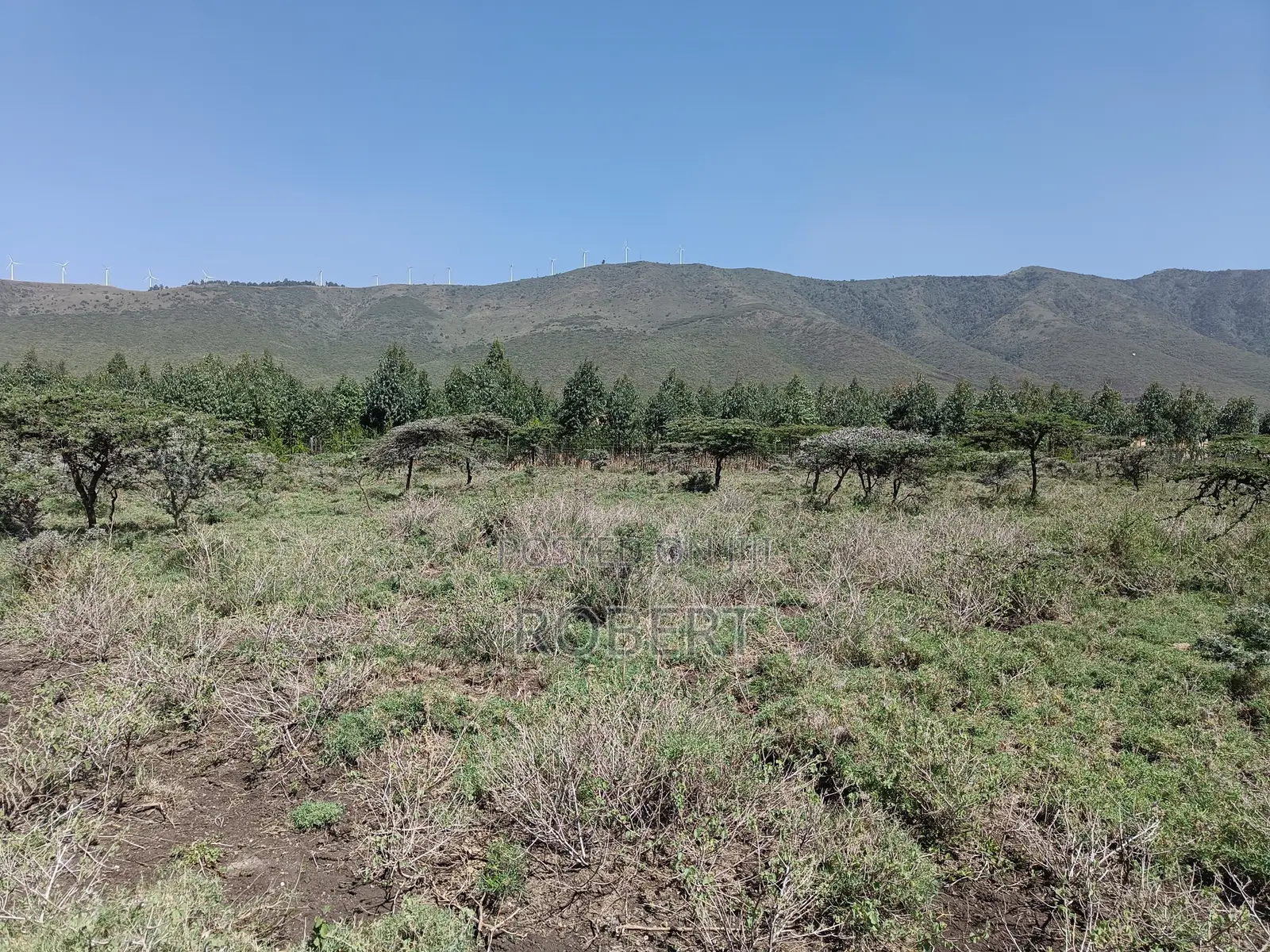 1 Acre for Sale in Ngong Kimuka