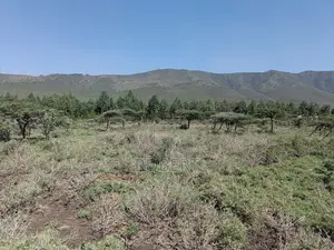 1 Acre for Sale in Ngong Kimuka