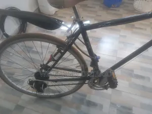 Progear Road Bike