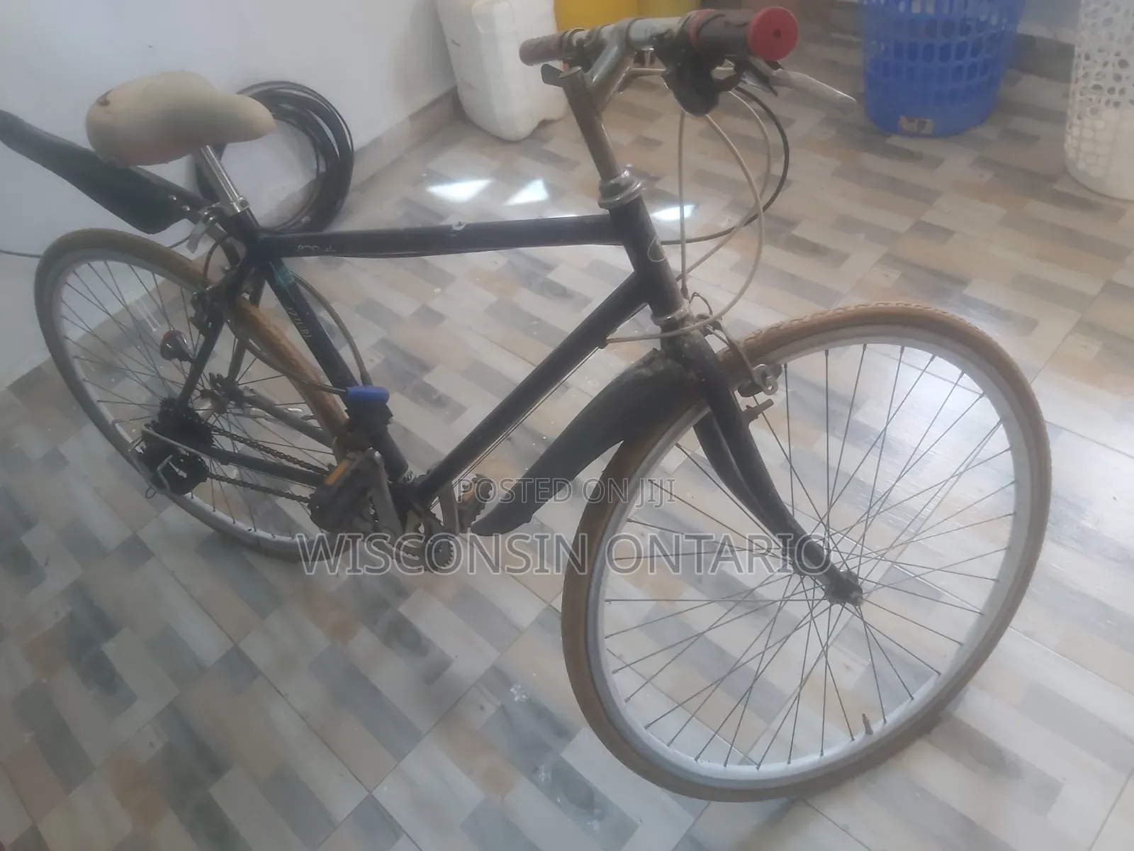 Progear Road Bike