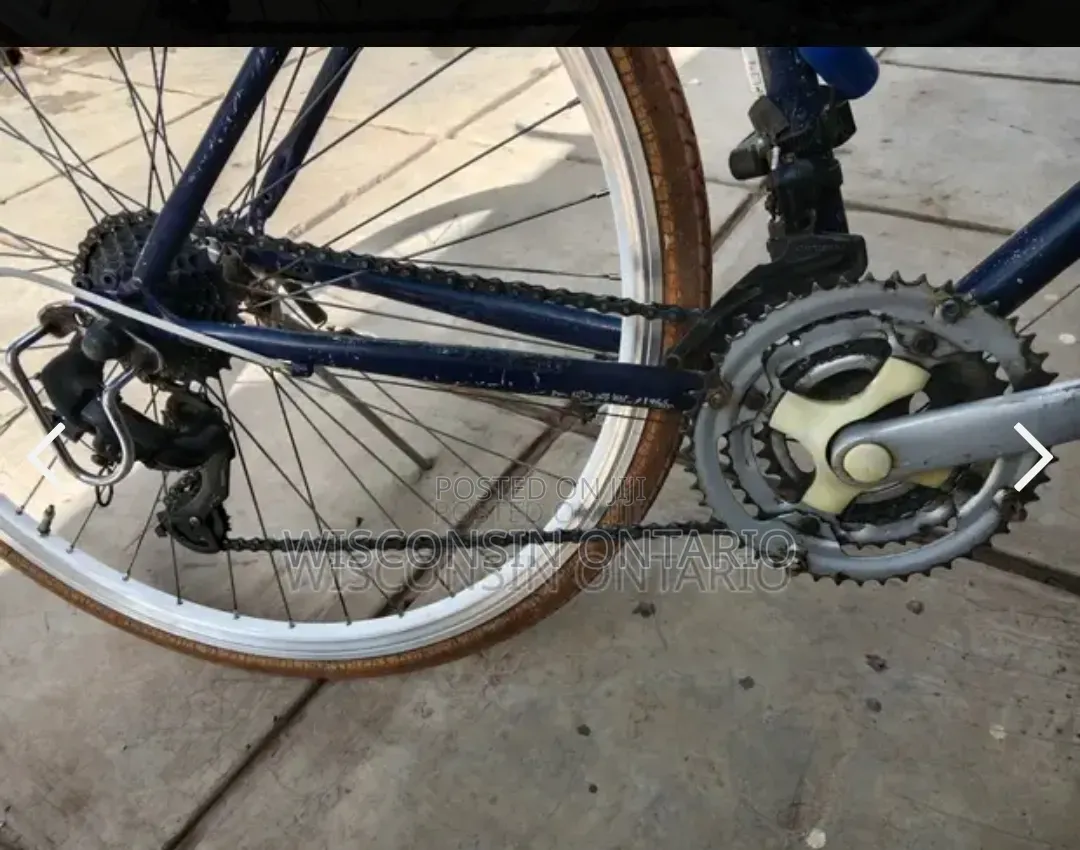 Progear Road Bike