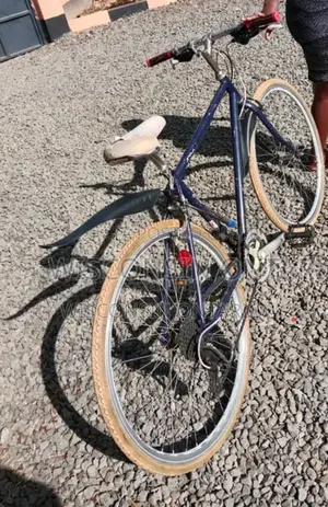 Progear Road Bike