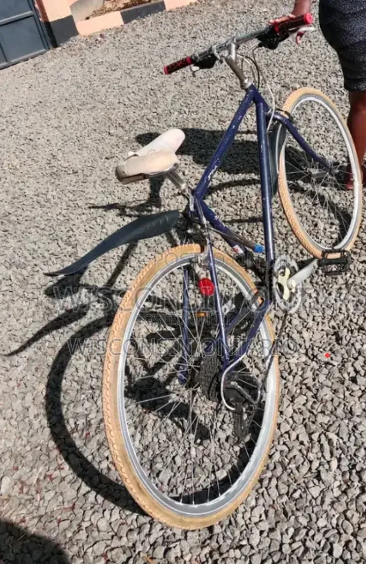 Progear Road Bike
