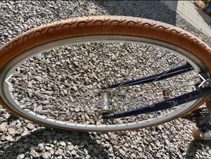Progear Road Bike