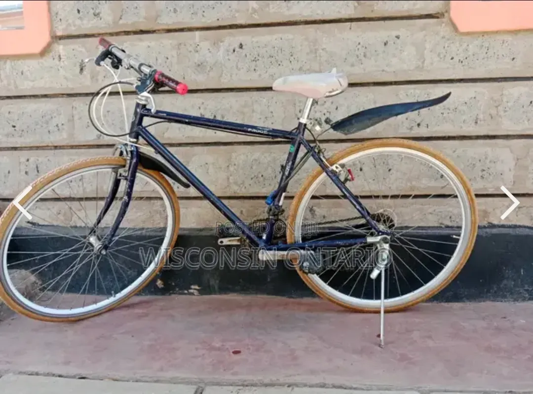 Progear Road Bike