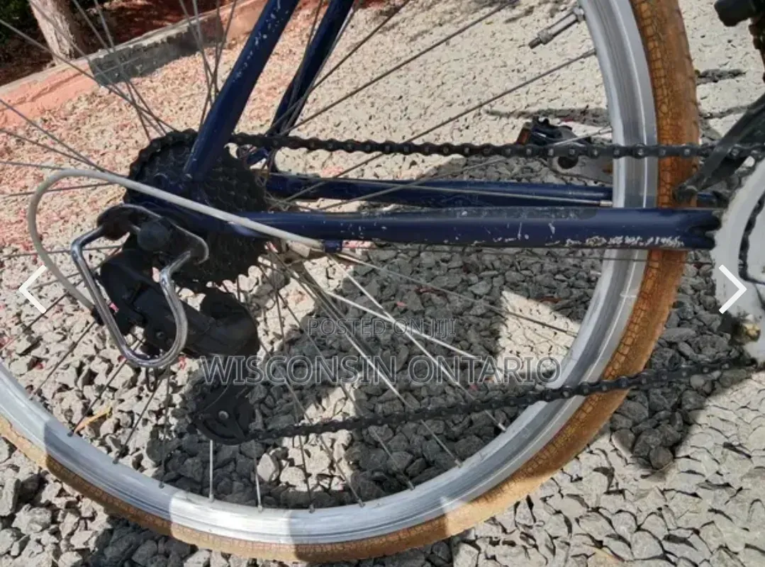 Progear Road Bike