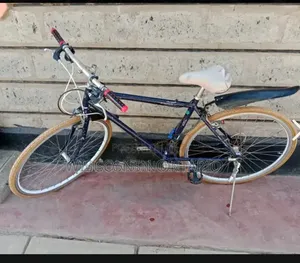 Progear Road Bike