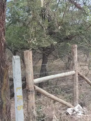 10 Acres Touching Mombasa-Nairobi Highway in Sultan Hamud Is for Sale