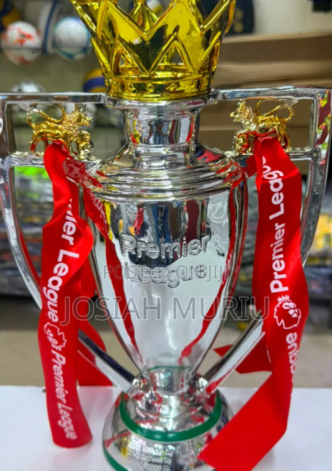 Premium Premier League Trophy
