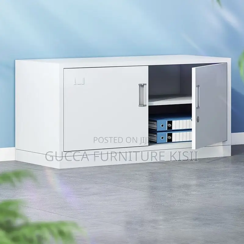 Office Cabinet; 2 Door Low Level Steel Storage Cabinet