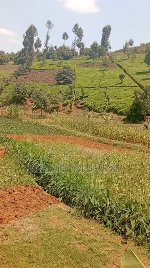 Agricultural Land