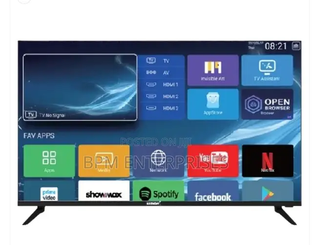 Vision Plus 32”whale TV + TV Guard