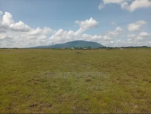 8 Acreas Nanyuki Daiga Muramati Next Tufaha Resort