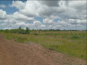 8 Acreas Nanyuki Daiga Muramati Next Tufaha Resort