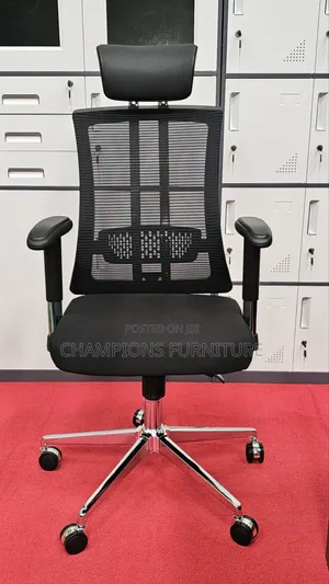 Orthopedic SpineSupport Office Chair