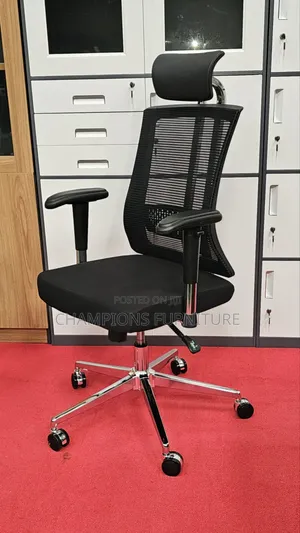 Orthopedic SpineSupport Office Chair