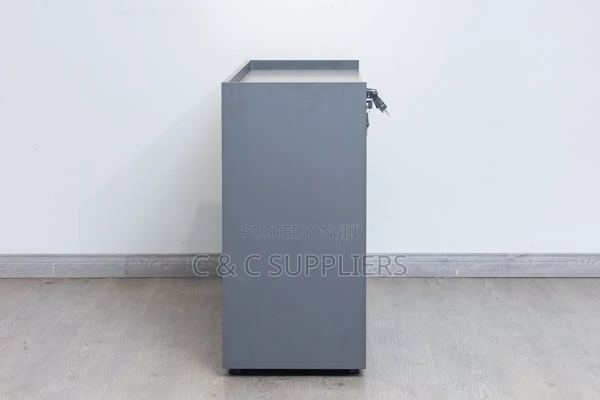 3-Door Credenza Storage Cabinet.