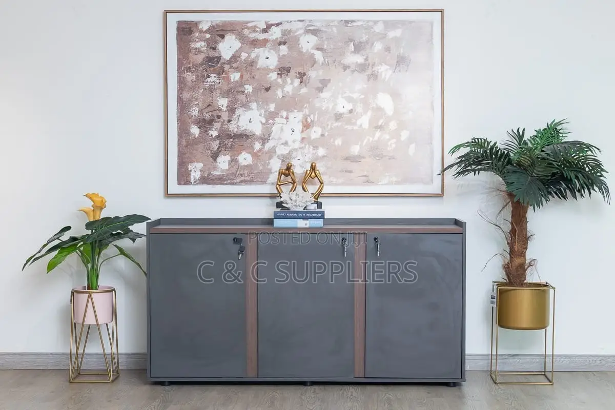 3-Door Credenza Storage Cabinet.