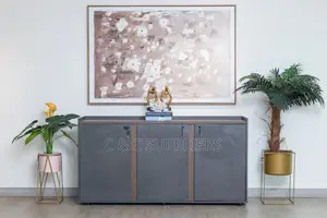 3-Door Credenza Storage Cabinet.