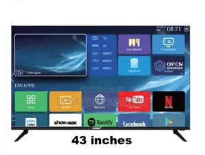 Vision Plus 43”whale TV + TV Guard