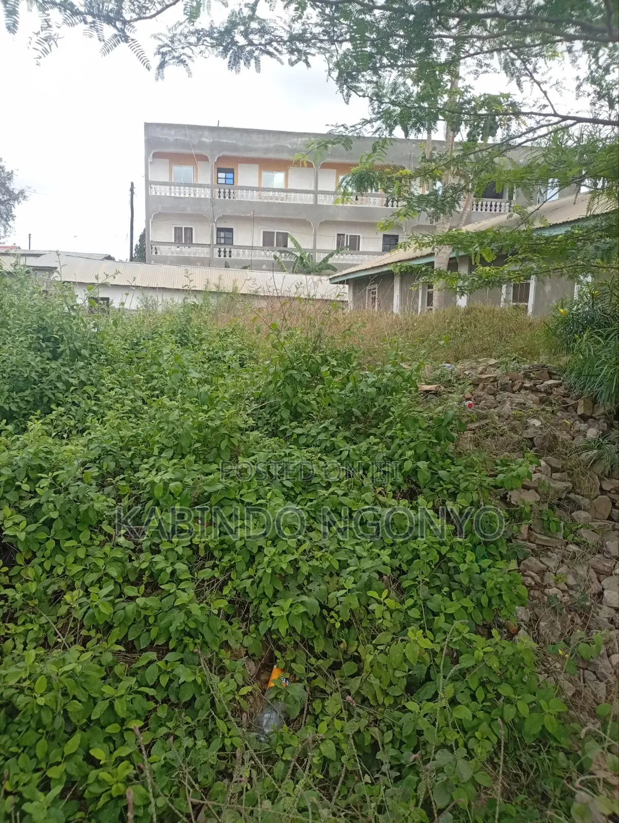 Plot on Sale