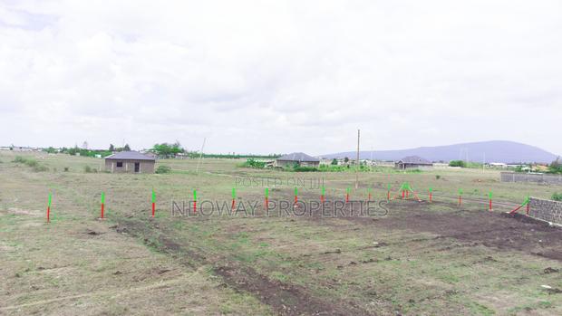 Juja Farm Phase 12 - thumbnail 4
