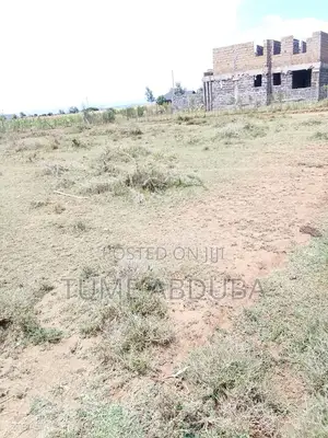 Kabarak 1/4 Acre Near GDC Land — Electricity on Site, Fast Developing.