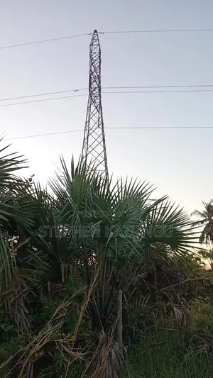 A Green-View 1 Acre Plot Near to Mwabungo Town.