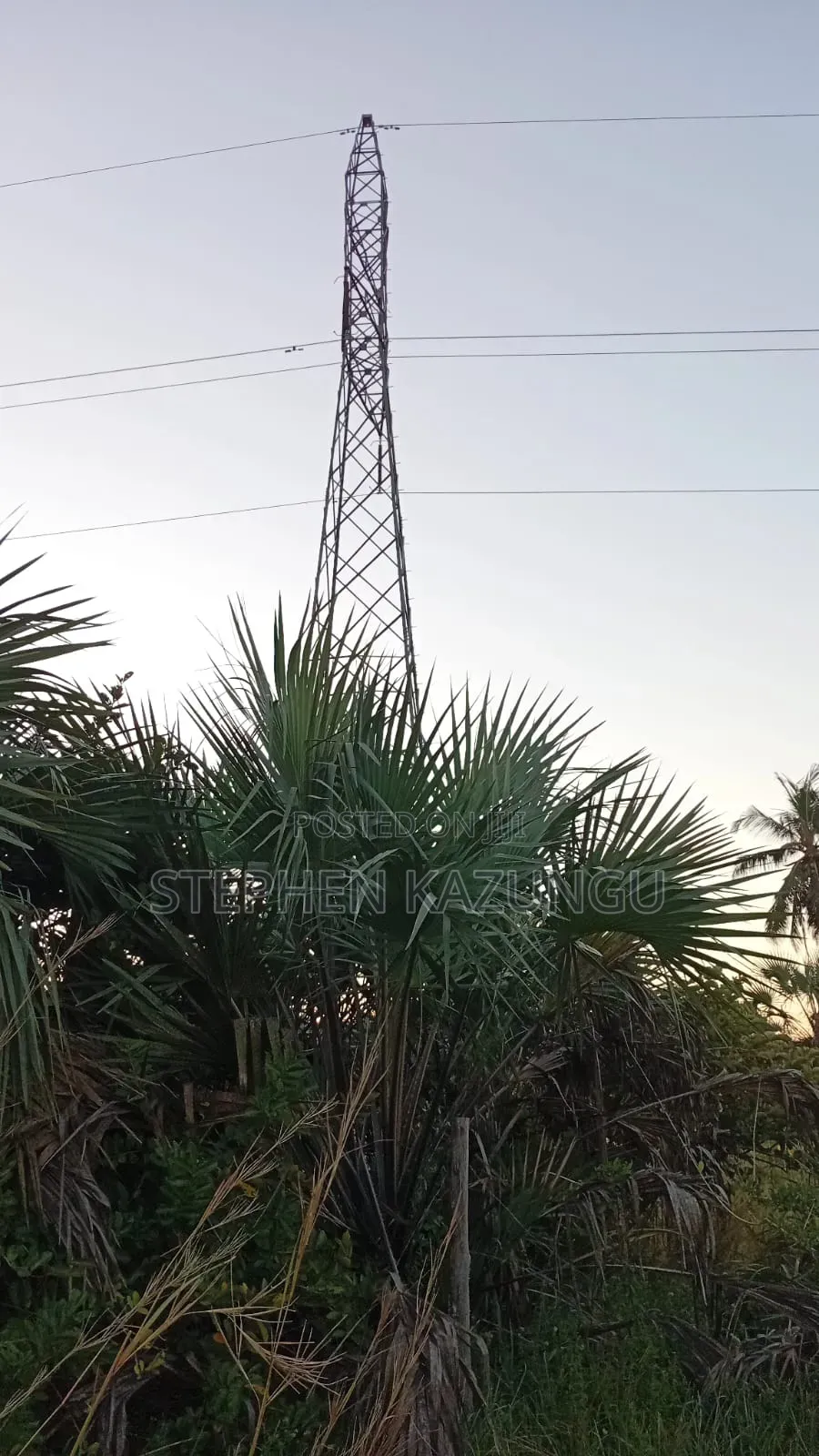 A Green-View 1 Acre Plot Near to Mwabungo Town.