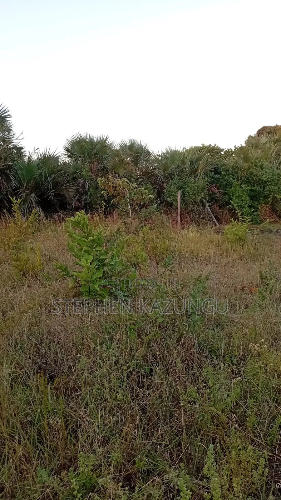 A Green-View 1 Acre Plot Near to Mwabungo Town.