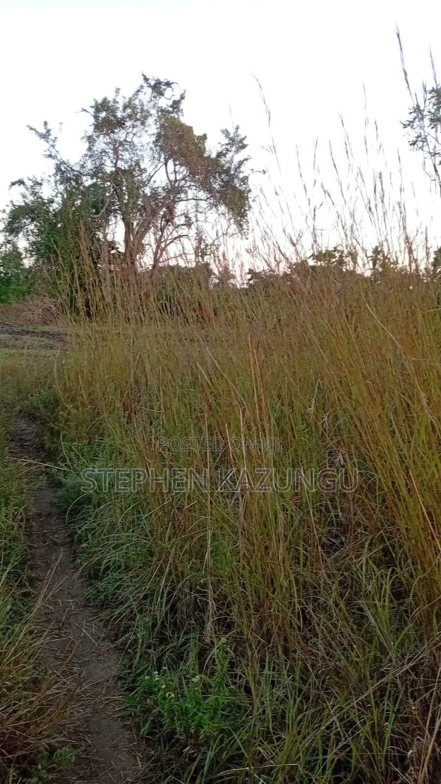A Green-View 1 Acre Plot Near to Mwabungo Town.