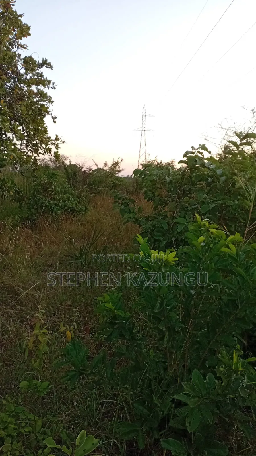 A Green-View 1 Acre Plot Near to Mwabungo Town.