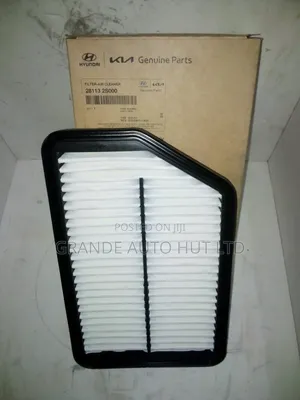 Air Filter Hyundai Ix35/Tucson Genuine