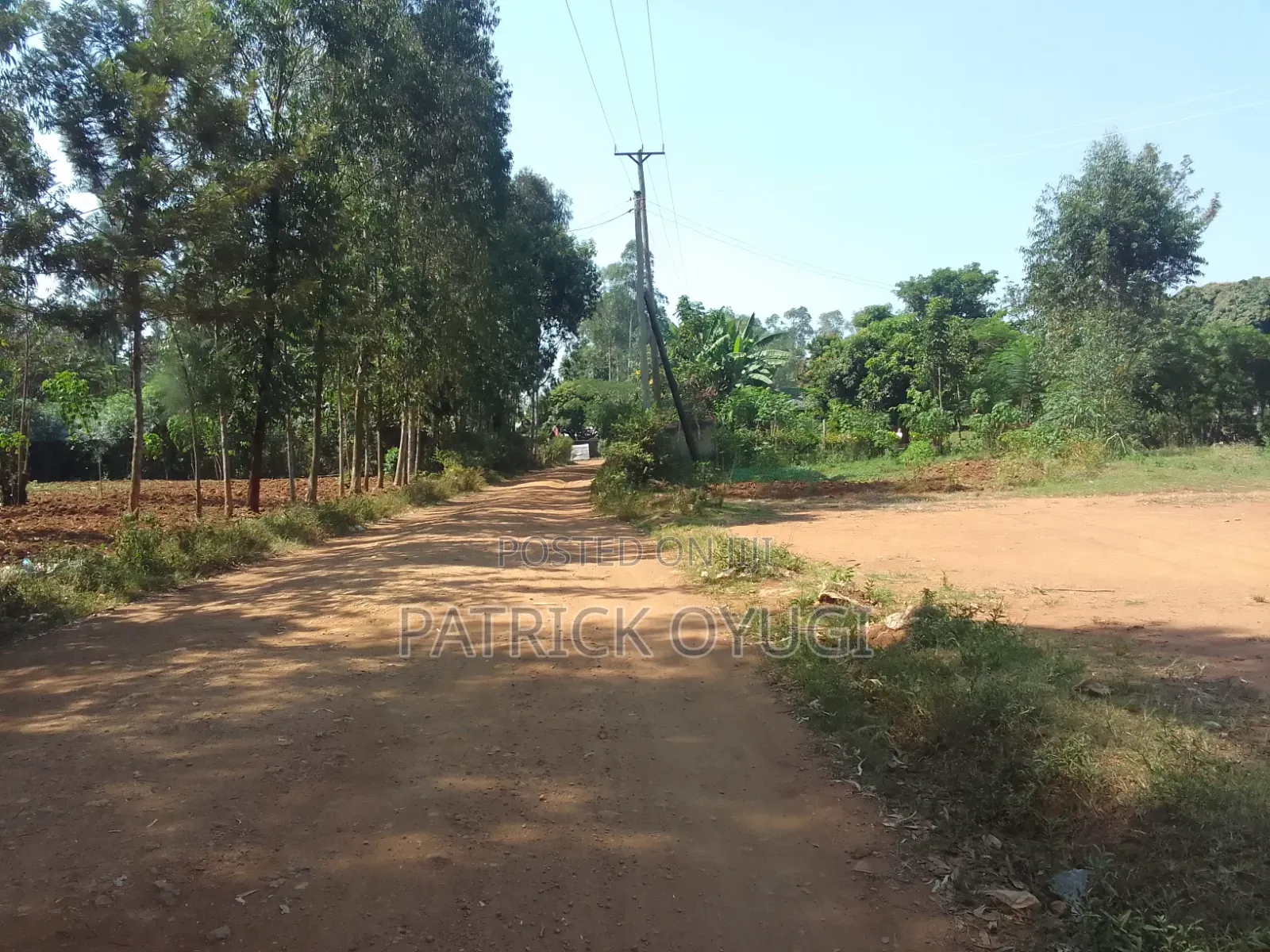 0.1ha Land for Sale in Nyahera Near Sianda School