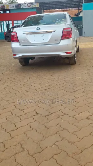 Toyota Axio 2019 Black