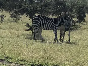 Plot Near Nairobi National Park-Distress Sale
