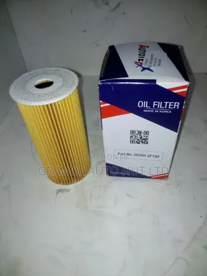 Oil Filter Sorento/Santafe 2012 Diesel