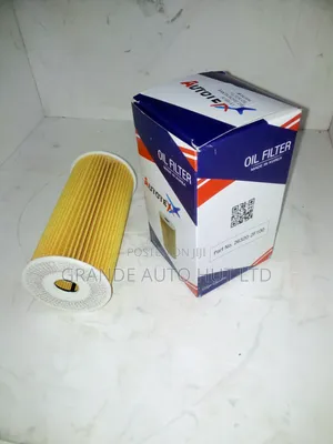 Oil Filter Sorento/Santafe 2012 Diesel