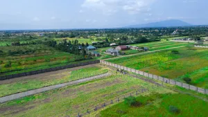 Juja Farm – Secure Your Prime Plot Today!