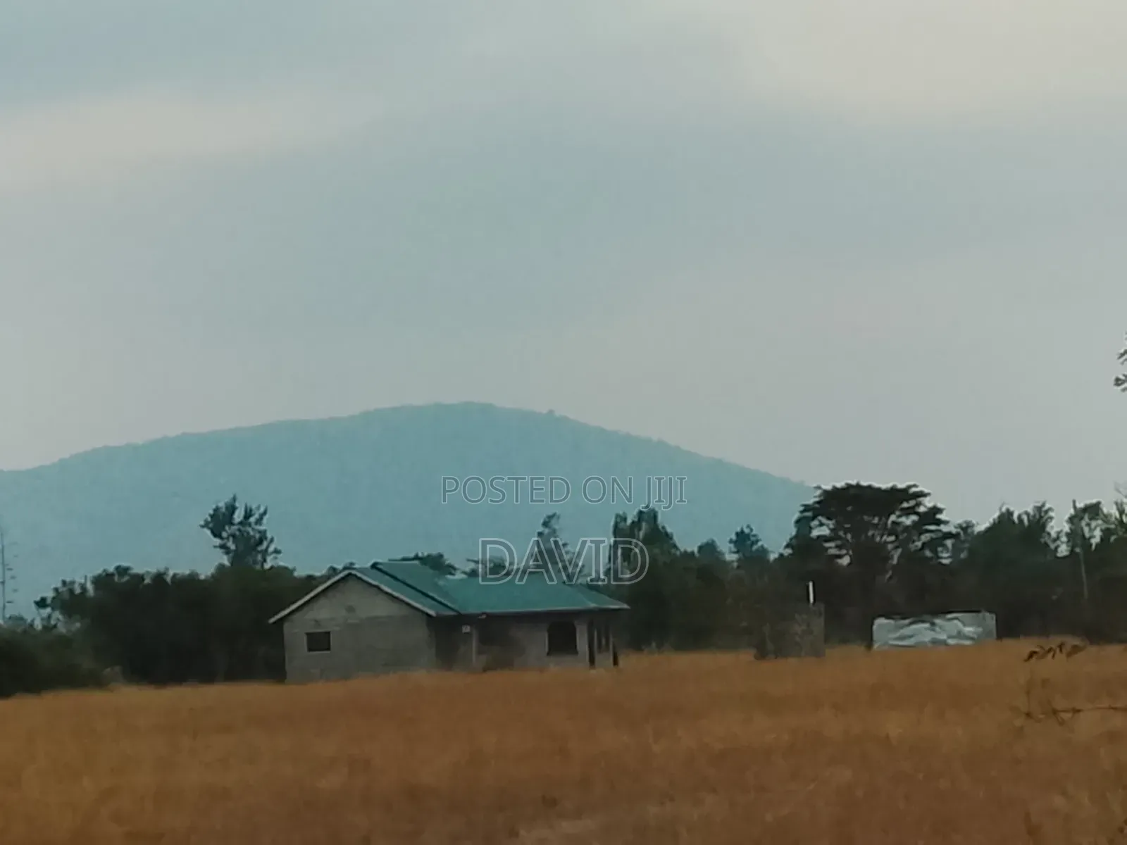 Muguga/Gatuanyaga Prime Plot