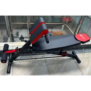 Modern Executive Gym Bench With Bench Press, Bicep Carl And