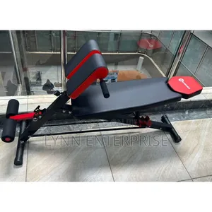Modern Executive Gym Bench With Bench Press, Bicep Carl And