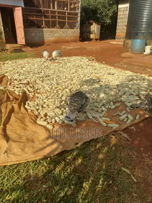 Turkey on Sale