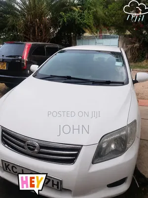 Toyota Axio 2009 White
