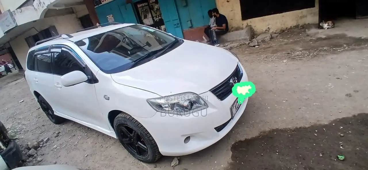 Toyota Corolla Fielder 2009 White