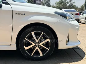 Toyota Corolla Fielder 2019 White