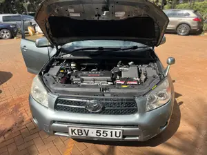 Toyota RAV4 2007 Gray