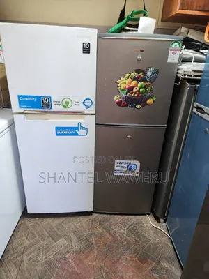 2 Door Refrigerator
